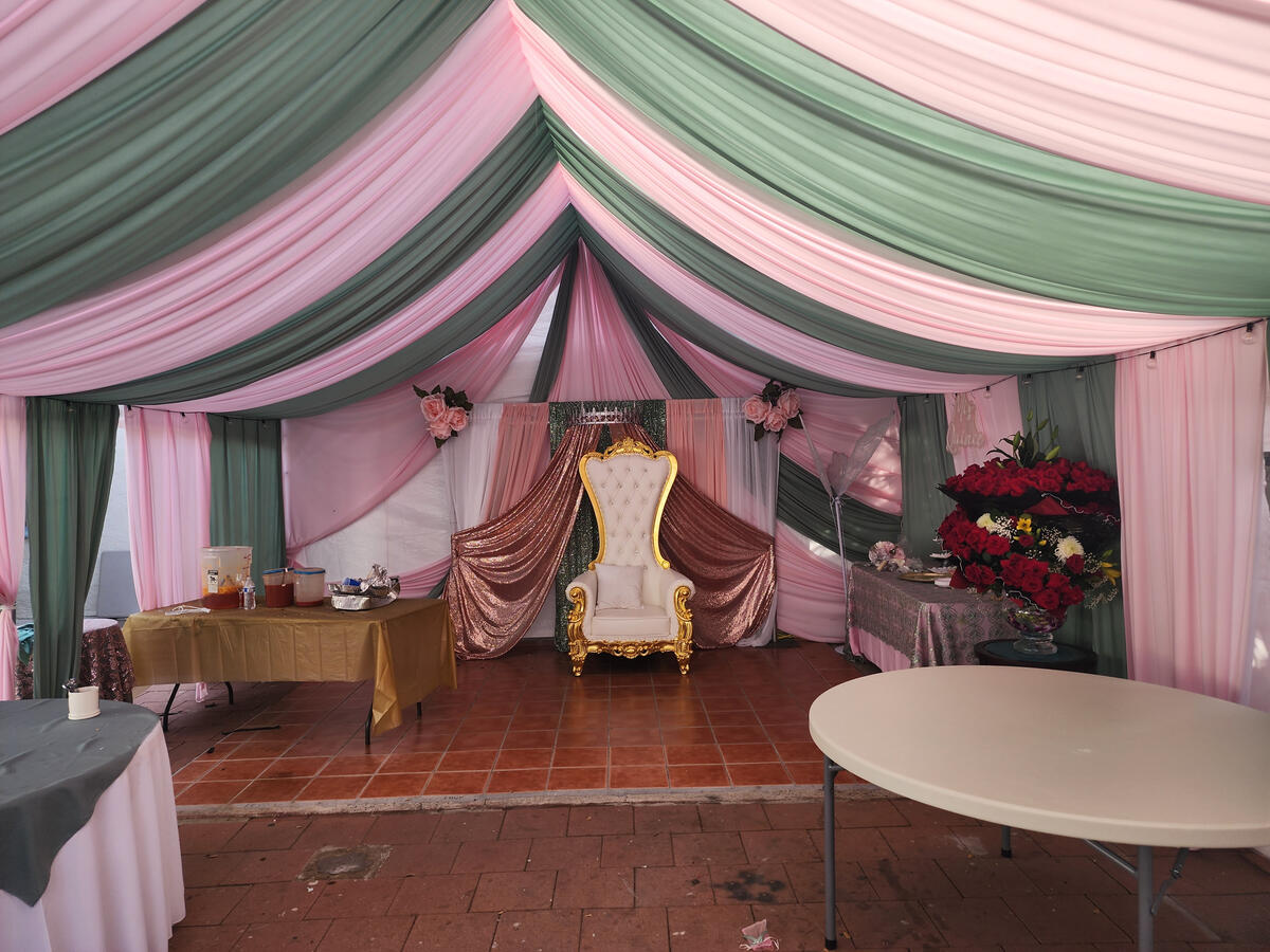 The Two Colors Used In This Drape Are: Sage Green And Baby Pink On A 20